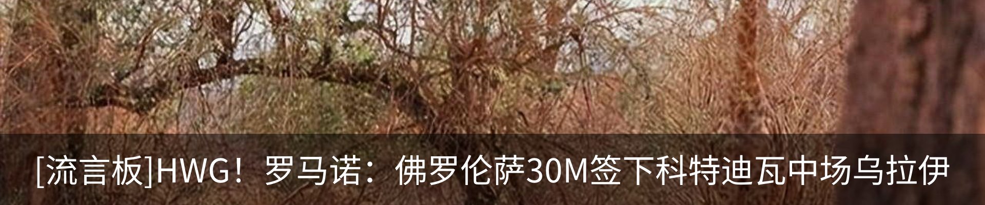 行业资讯